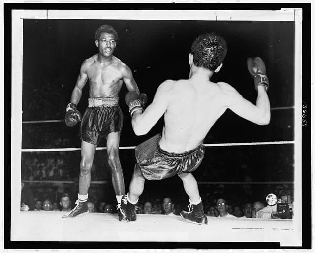 Sugar Ray Robinson